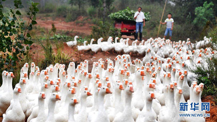 ?? ??? ??? ??? ???? ???