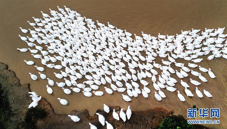 ?? ??? ??? ??? ???? ???