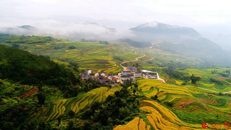 ?X??X??X??? ??? ???, ?? ??? ??