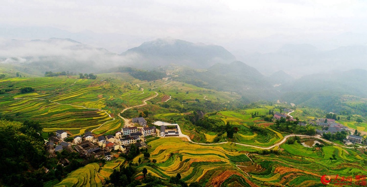 ?X??X??X??? ??? ???, ?? ??? ??