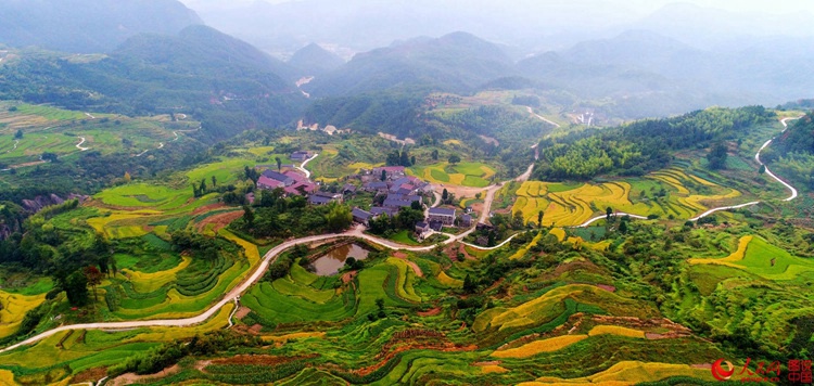 ?X??X??X??? ??? ???, ?? ??? ??