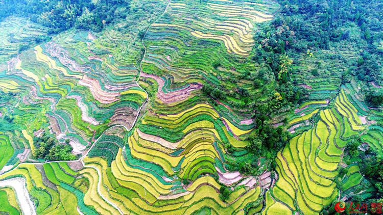 ?X??X??X??? ??? ???, ?? ??? ??