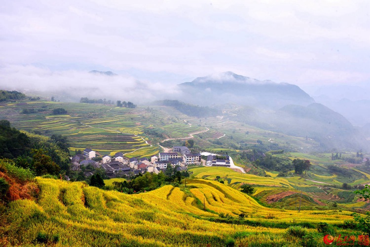 ?X??X??X??? ??? ???, ?? ??? ??