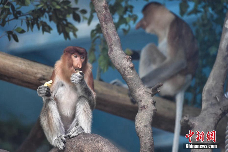 ?? ???? ?? ??? ?????? ???