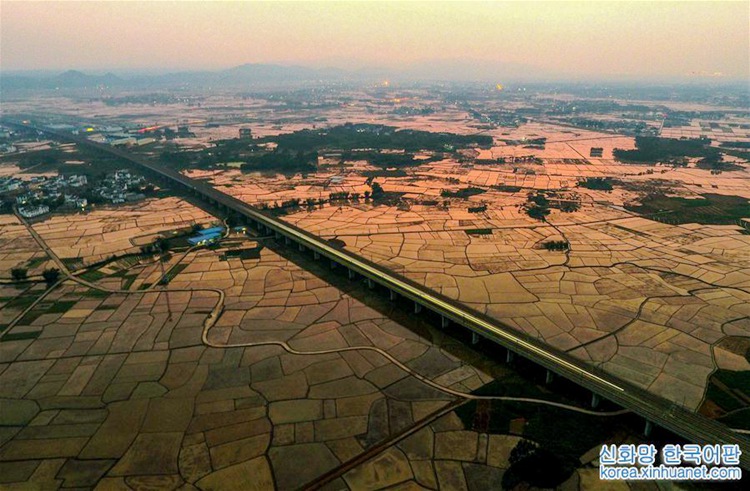 ???? ????? ????? ???? ??