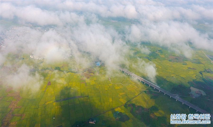 ???? ????? ????? ???? ??