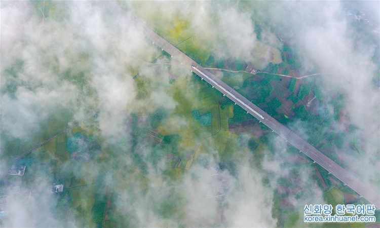 ???? ????? ????? ???? ??