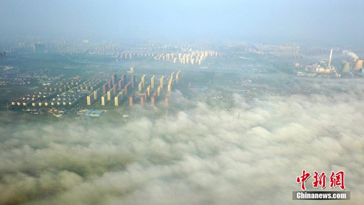 ??? ??? ??? ??? ??, ??? ??? ???? ??