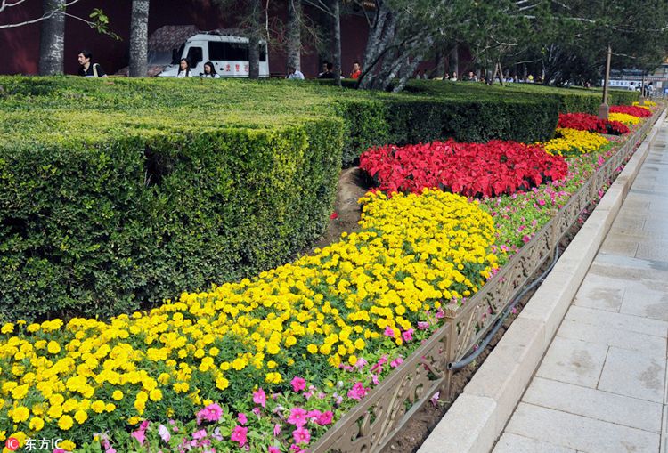 ??? ?? ???? ??? ??? ???, ???? ‘??’