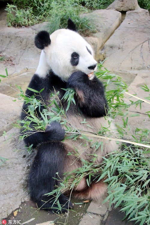 ?? ? ?? ?? ??? ???? ?? ‘??’