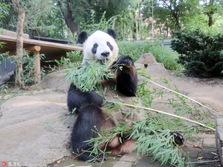 ?? ? ?? ?? ??? ???? ?? ‘??’