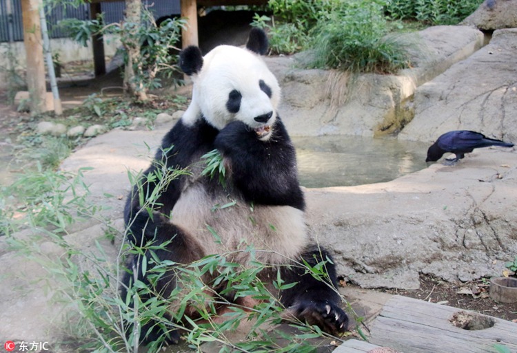 ?? ? ?? ?? ??? ???? ?? ‘??’