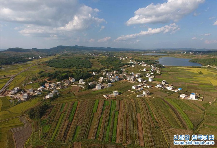 ?? ?? ?? ?? ??, ‘??? ?’