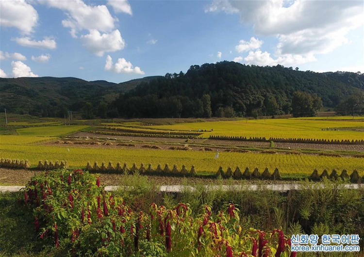 ?? ?? ?? ?? ??, ‘??? ?’