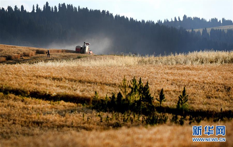 ?? ??? ??? ?? ???? ?? ??