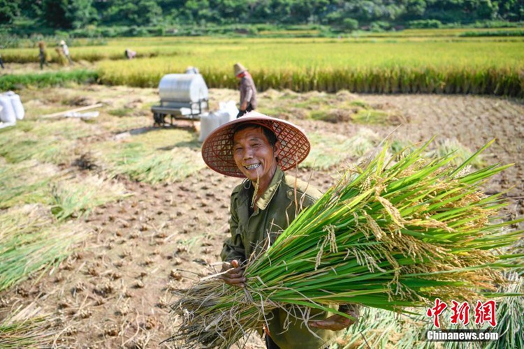 ?? ?? ???: ??? ?? ??? ?