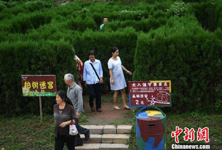 ?? ??? ‘?? ???’ ??, ???? ??? ? ???? ??