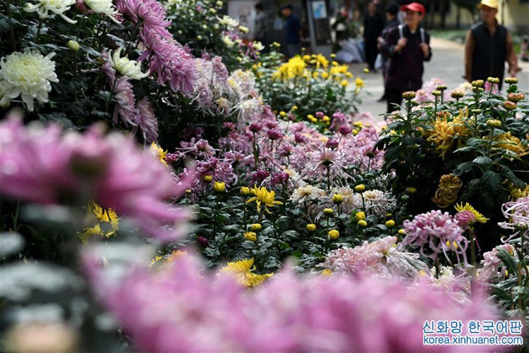 ?? ??? ??? ??? ? ??? ??, ???? ??? ??? ‘??’