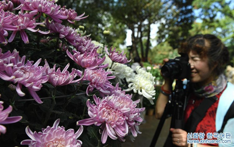 ?? ??? ??? ??? ? ??? ??, ???? ??? ??? ‘??’