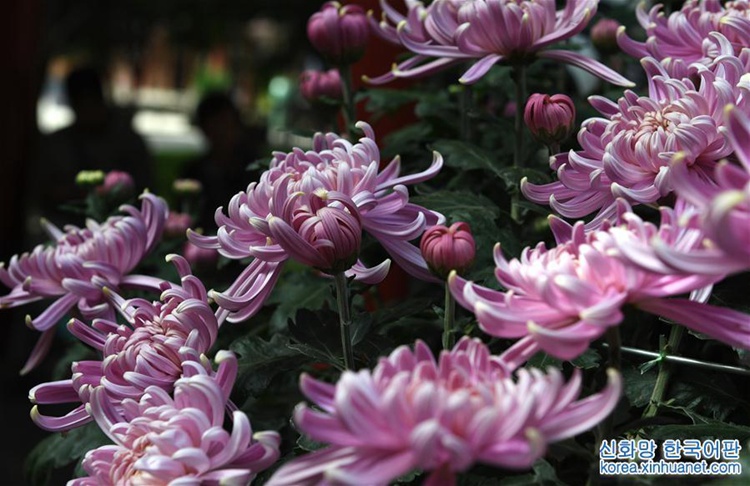 ?? ??? ??? ??? ? ??? ??, ???? ??? ??? ‘??’