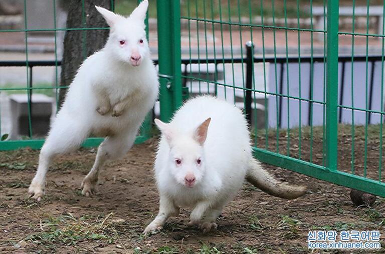 ????? ? ???, ?? ??????? ?? ??