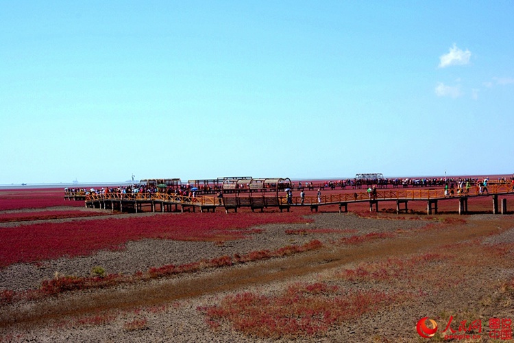 ???? ? ? ?? ??, ?? ????? ??? ‘?? ??’