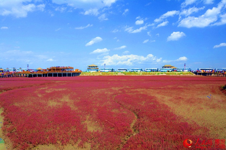 ???? ? ? ?? ??, ?? ????? ??? ‘?? ??’