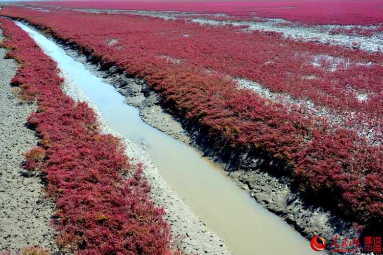 ???? ? ? ?? ??, ?? ????? ??? ‘?? ??’