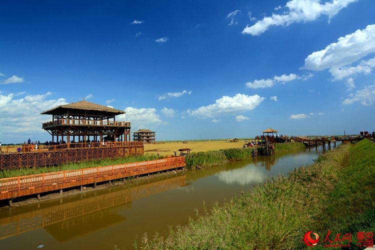 ???? ? ? ?? ??, ?? ????? ??? ‘?? ??’