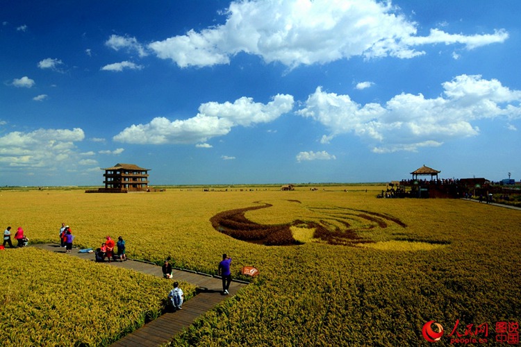 ???? ? ? ?? ??, ?? ????? ??? ‘?? ??’