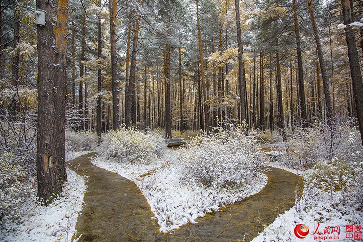 ???? ?? 9?? ? ??…??? ? ?? ?? ???