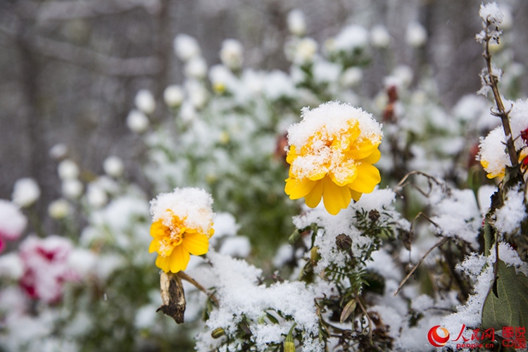 ???? ?? 9?? ? ??…??? ? ?? ?? ???