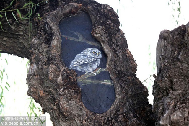 ??: ??? ??? ??? ‘?? ??’ ?? ??