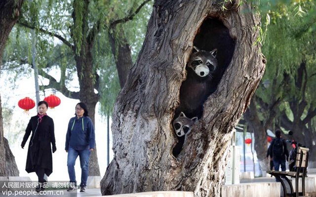 ??: ??? ??? ??? ‘?? ??’ ?? ??