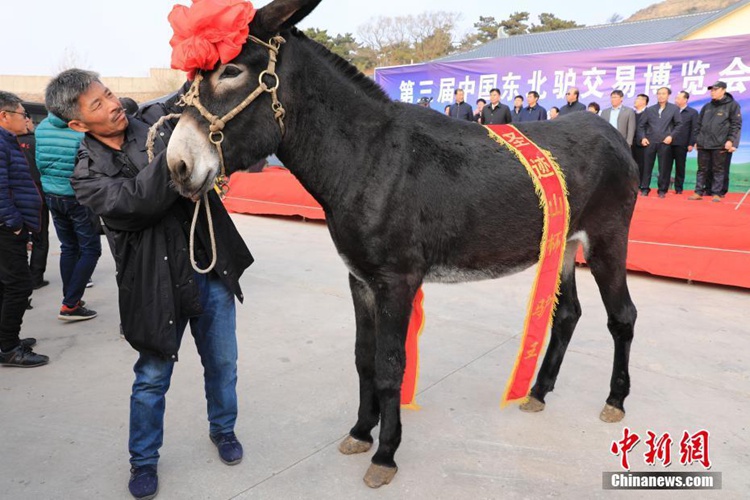 ?3? ?? ?? ??? ?????? ??? ??? ??