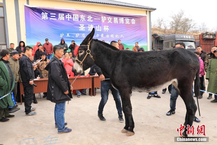 ?3? ?? ?? ??? ?????? ??? ??? ??