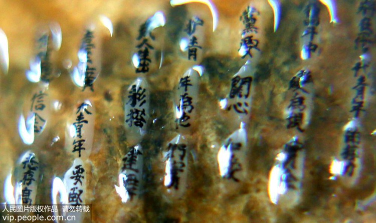 ?? ???? ??, ? ? ?? ??? ?? 4? ?