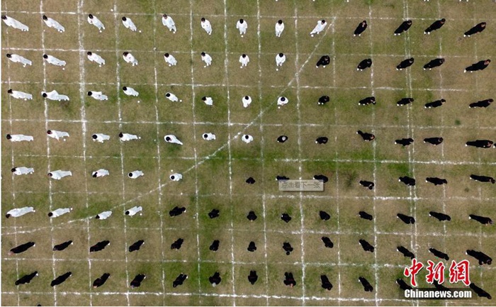 ??! ?? 2000? ?? ?? ???, ???? ??