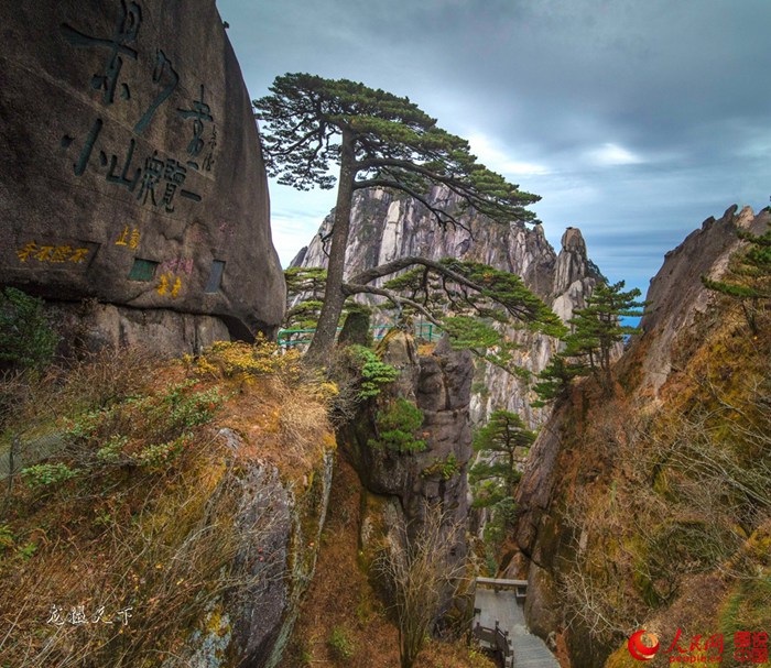 ???? ???, ??? ???? ??? ??? ??