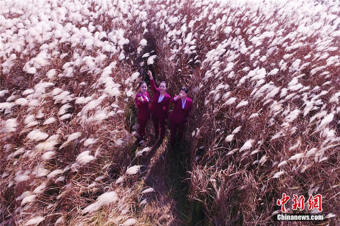 新?? ?? ??, ?? ???? ??? ??? ??