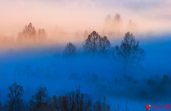 ???? ?? ?? ??, ???? ???? ‘??’