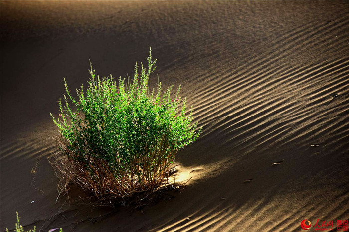 ?? ?? ??? ‘?? ??’, ?? ??????? ‘?’