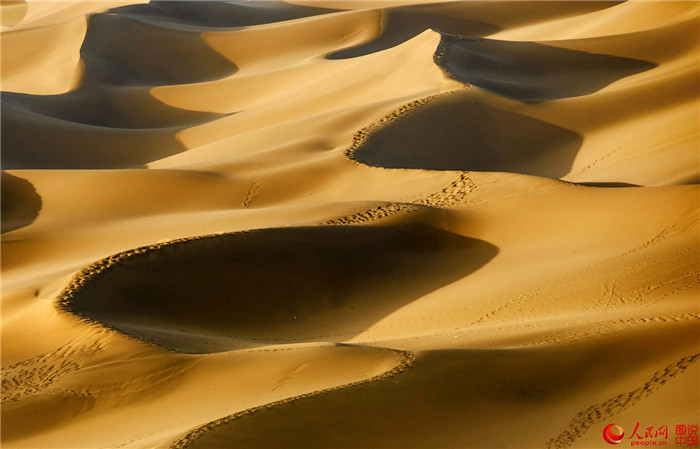 ?? ?? ??? ‘?? ??’, ?? ??????? ‘?’