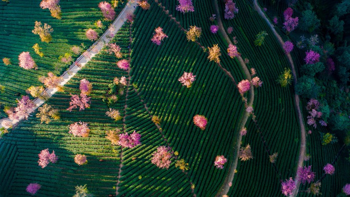 ??? ?? ???? ??? ??, ‘?? ? ??’