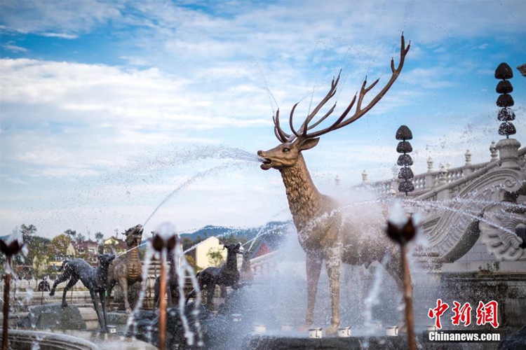 ‘????’ ?? ??? ??, ??? ??? 80% ?? ??