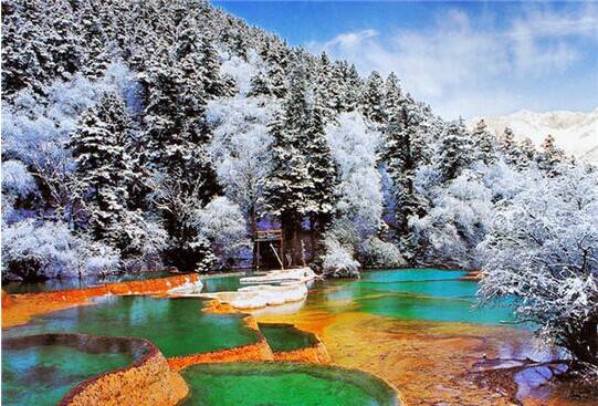 ? ?? ?? ??? ??, ????X????X????X???…