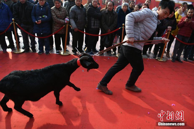 ?? ???? ??, ????? ???? ???