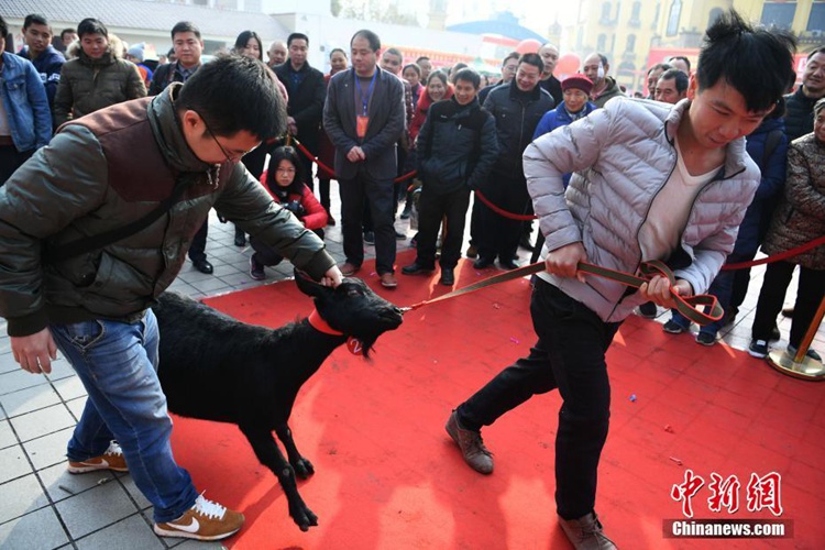 ?? ???? ??, ????? ???? ???