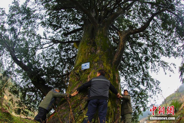 ???? ??, ???? ??? 1000? ? ‘??’