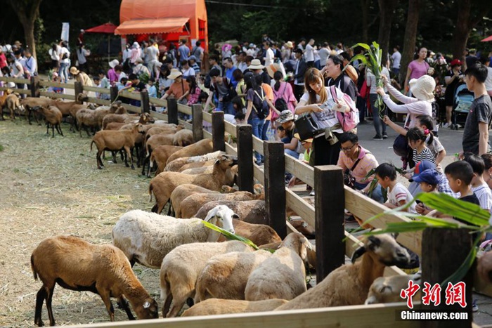 ?? ?? ??? ??? ??, ????? ‘????’